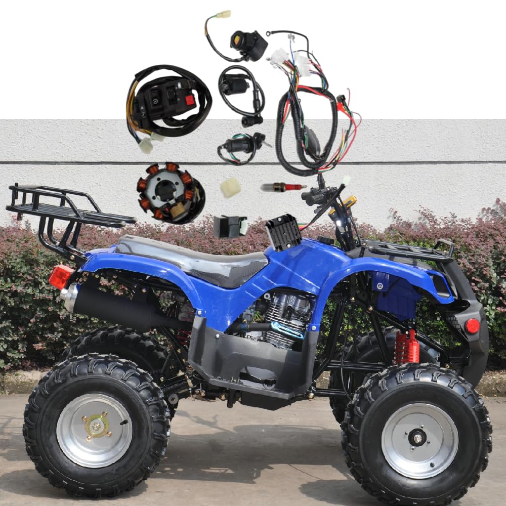Mazo de cables eléctricos completo de la bobina del sistema de encendido del telar para 150cc 200cc 250cc Quad Bike Pit Bike Dune Buggy, arnés de cableado CDI Kit de encendido