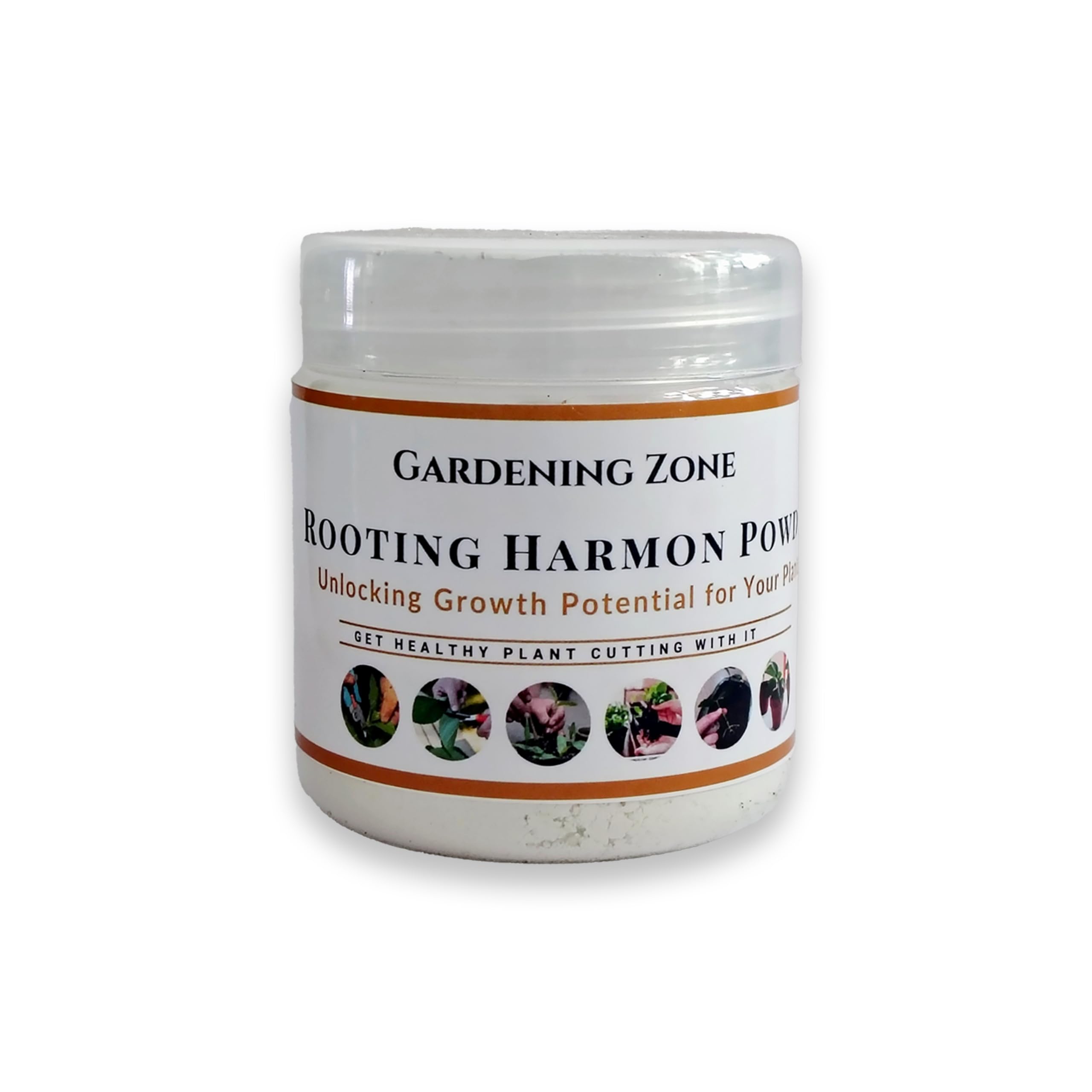 "Gardening Zone Rooting Harmon Powder for Plants | Fast Root Growth & Healthy Plant Propagation | Effective Rooting Hormone | 40g Net Weight" (B0DFQ222Z4) Amazon Price History, Amazon Price Tracker