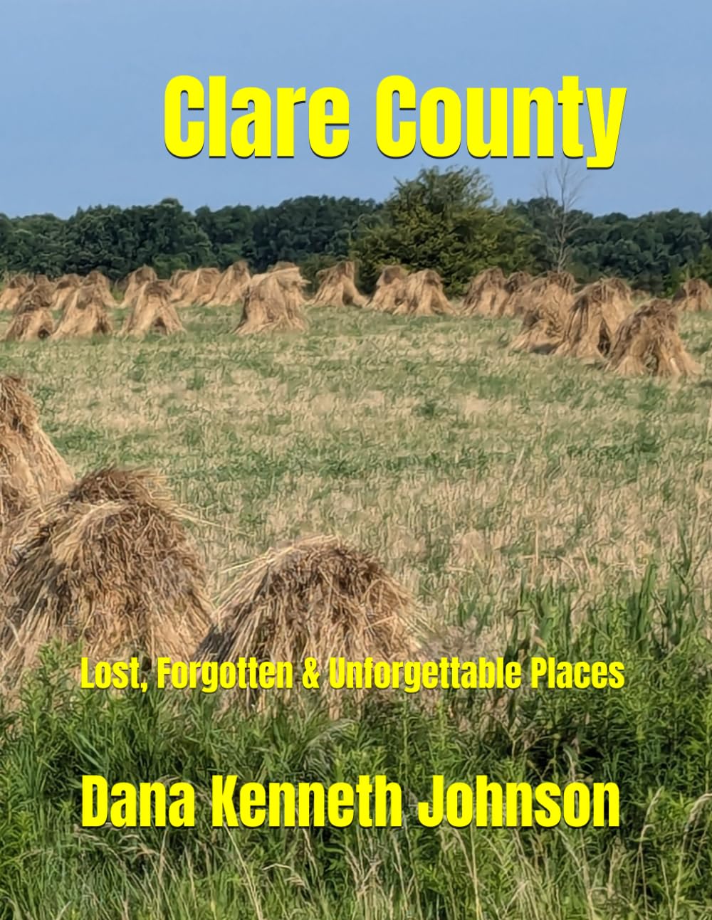 Clare County: Lost, Forgotten & Unforgettable Places (Michigan's Lost, Forgotten & Unforgettable Places)      Paperback – January 25, 2025