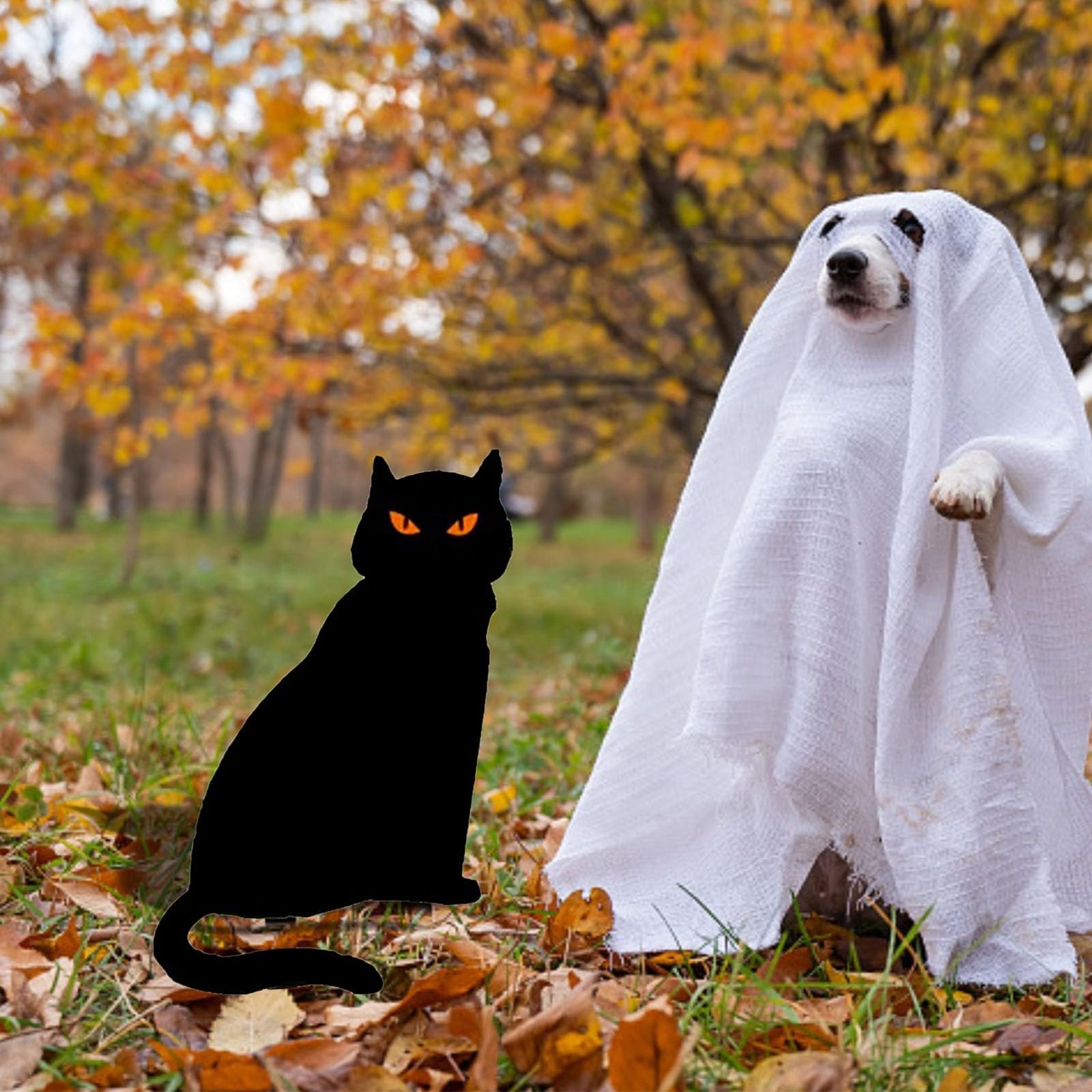 Amazon.co.jp: ハロウィンの黒猫の装飾、6個の黒猫のシルエット