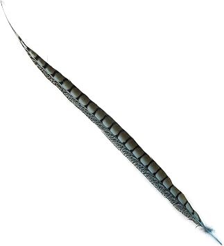 Zucker Long Natural Light Turquoise Pheasant Tail Feather 2030" Decorative Feather for Crafts and Decor
