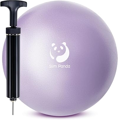 Slim Panda 9 Inch Pilates Ball - Anti-Burst Needle Pump