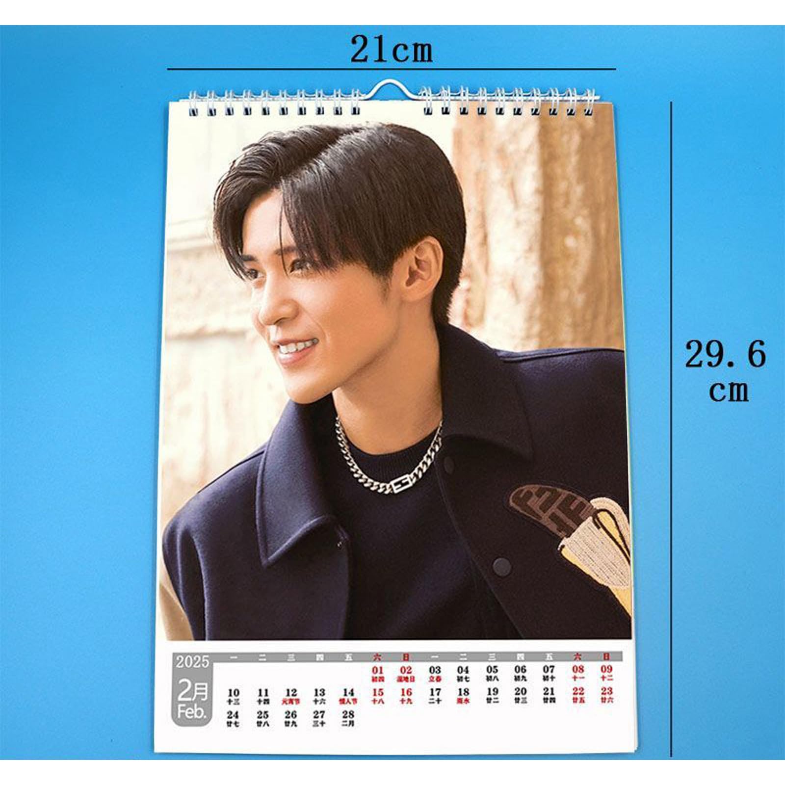 Amazon.co.jp: 目黒蓮 2025 壁掛けカレンダー 21*29cm カレンダー 応援