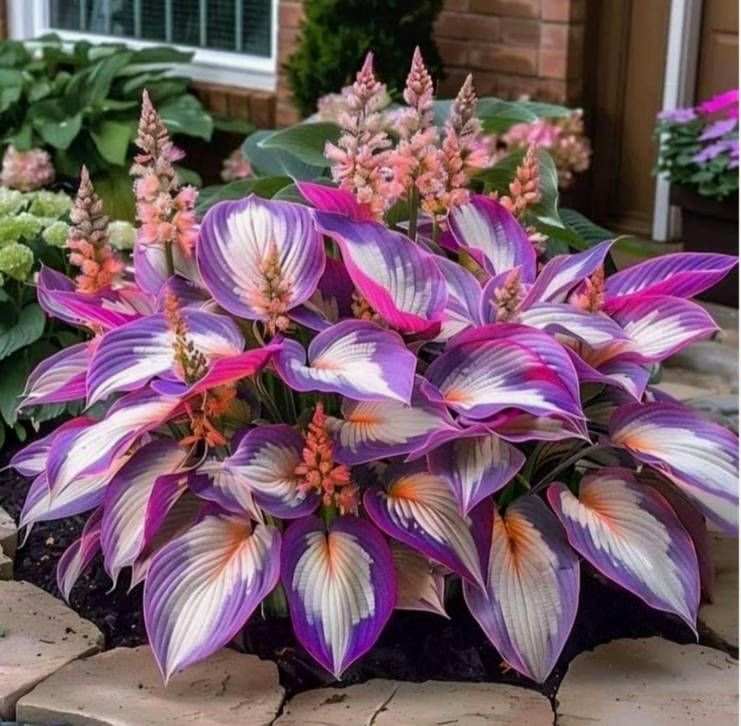 Hosta Flower Seeds - Grow Your Own Lush Garden -5 Hosta Flower Seeds - Grow Your Own Lush Garden -5