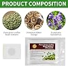 Natural Herbal Belly Stickers Pack of 100 Mugwort Navel Stickers Mugwort Navel Stickers Mugwort Navel Stickers Detox Plasters Mugwort Navel Stickers Slimming Patches.