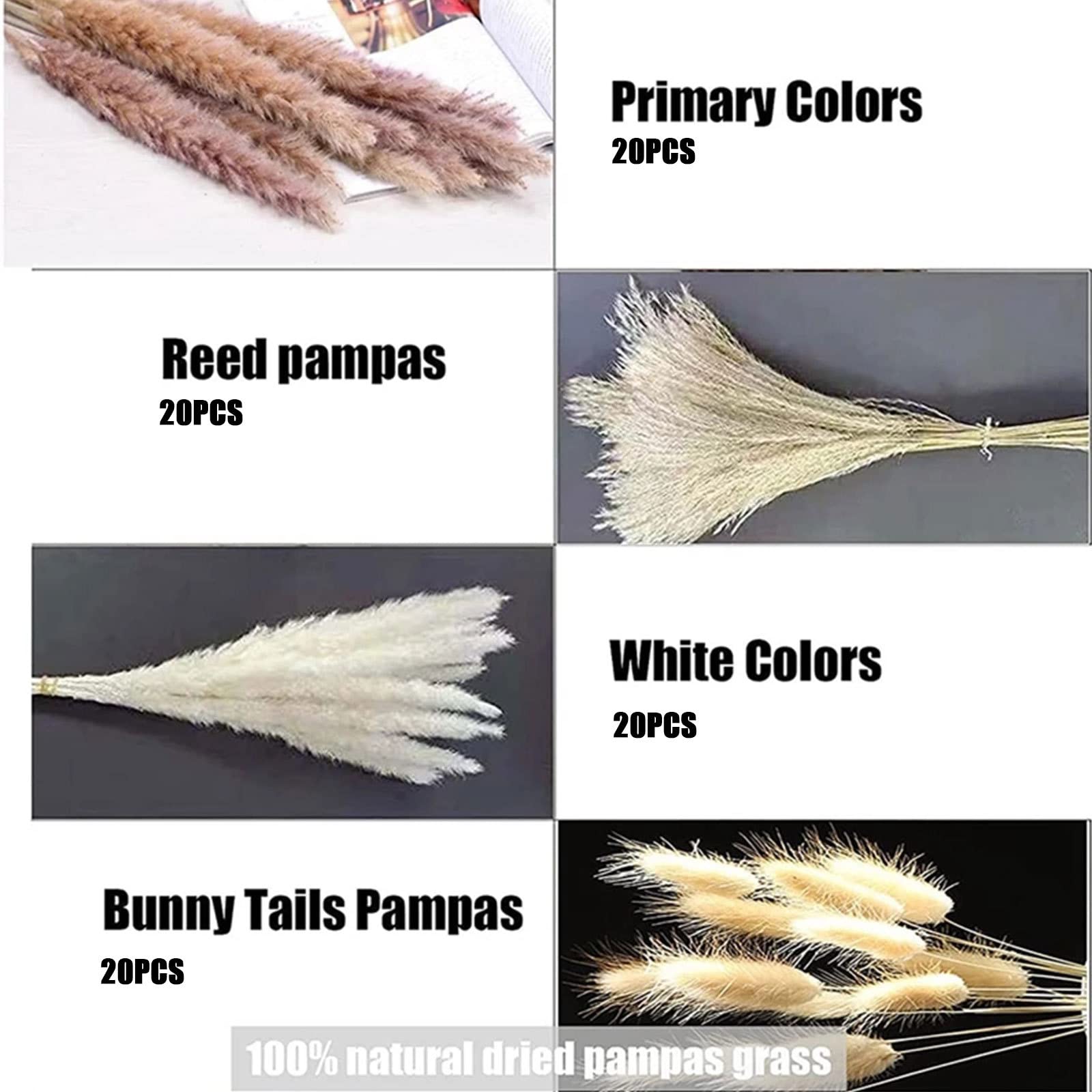 Decoración de Hierba de Pampa Natural de 80 Tallos – Colas de Conejo secas, Hierba de caña Beige para decoración del hogar, arreglos Florales, decoración Bohemia, 20 Pulgadas de Alto