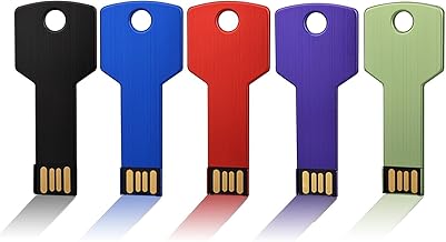 Key USB Flash Drive 1GB Set of 5 High Speed USB Flash Drive Keyed USB 2.0 Flash Memory (Black, Green, Red, Blue, Purple)