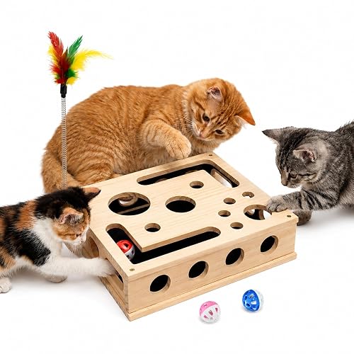 3-in-1 Cat Amazing Puzzle Box, Interactive Foraging Hunt & Cat