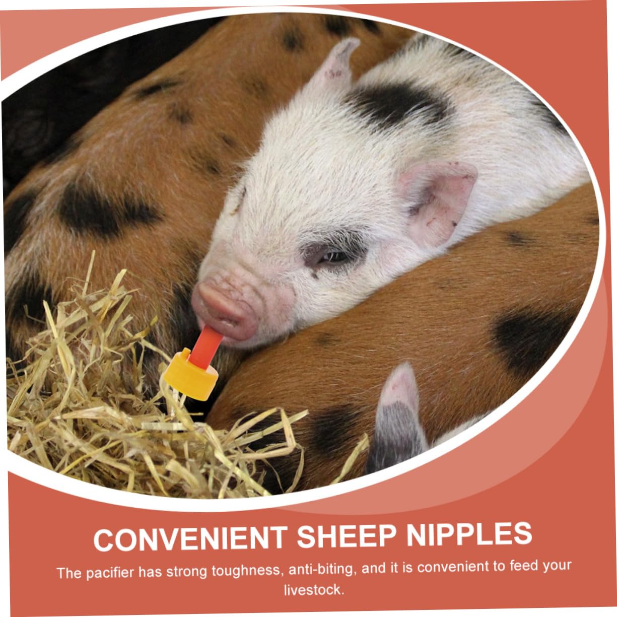 BCOATH 5pcs Goat Pacifier Sizer for Flanges Mama Lactation Breastfeeding Essentials Covers Breastfeeding Balm Lamb Feeder Goat Milking Supplies Milk Collector Ladybug Nipples Plastic Red