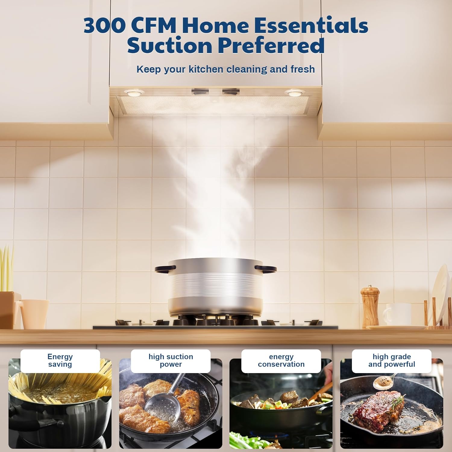 PM300SS Range Hood Insert For Under-Cabinet,21-Inch Built,300 Max Blower CFM,Stainless Steel,Customized Power Supply Package,2-speed Adjustment Exhaust Fan And Spotlight