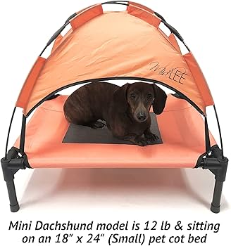 Amazon.com : Midlee Salmon Dog Cot with Canopy (24