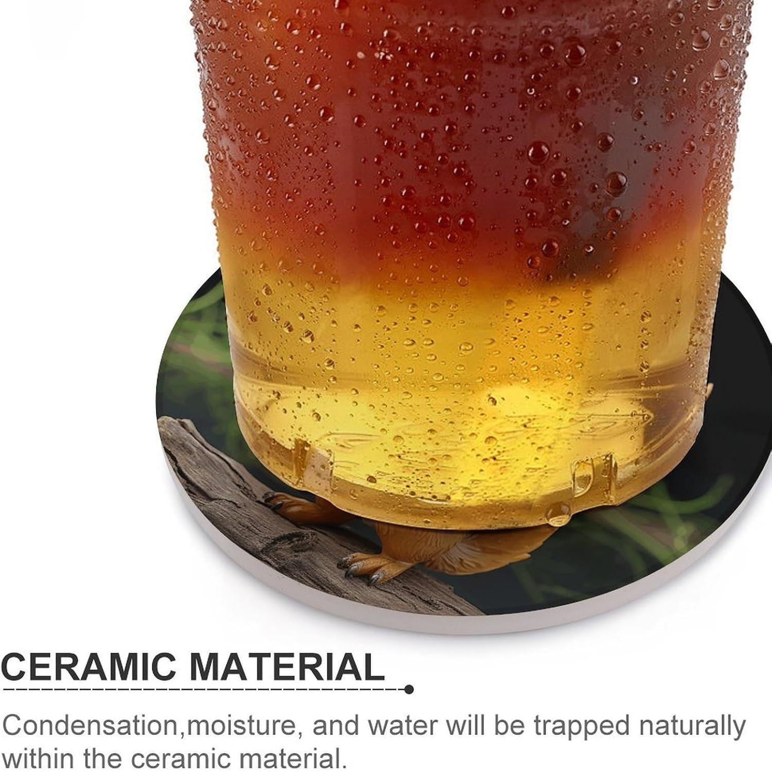 6PCS Resin Squirrel Coasters Non-Slip Round Drink Coasters with Ceramic Stone and Cork Base, Heat Resistant Absorbent 33.00Stone Coaster Set for Kinds of Mugs and Cups, 4 Inch