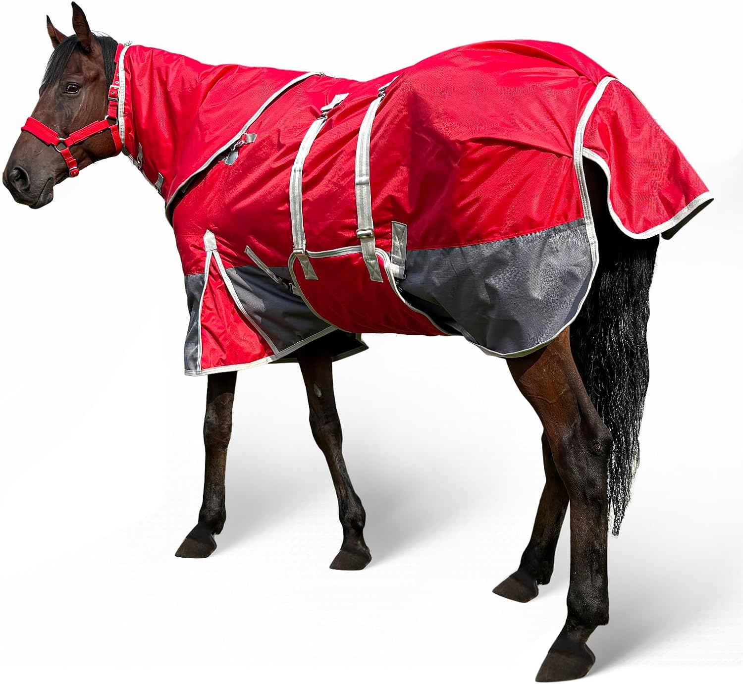 Horse Turnout Blankets for Winter 1800D Waterproof Medium Weight (280g Cotton Fill) Horse Blanket with Neck Cover Leg Straps Belly Wrap (72”)