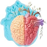 3D Human Brain Fondant Molds Brain Silicone Chocolate Molds for Cake Decorating Cupcake Topper Candy Gum Paste Polymer Clay