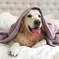 Vista 513 de BEDELITE Fleece Blanket White Throw Blanket for Couch & Bed, Luxury Plush Cozy Fuzzy Blanket 50" x 60", Super Soft Warm Lightweight Throw Blanket