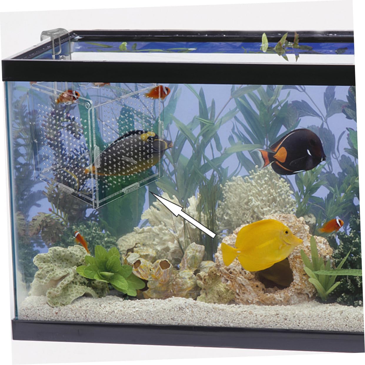 2sets Fish Breeding Isolation Box of Acrylic Hanging Tank Dividers for Fry Hatching Safe Mesh Design with Cups for Aquariums Easy to Clean and Store