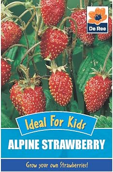 Alpine Strawberry Seeds 165 Fruit Seeds Vegetable Garden