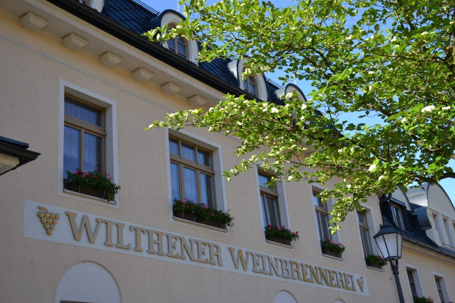 WILTHENER Cask Grande I Brandy in X.O.-Qualität I Pariser Fass von 1900 I Weinbrand des Jahres 2025 I 40% vol. I 0,7 l