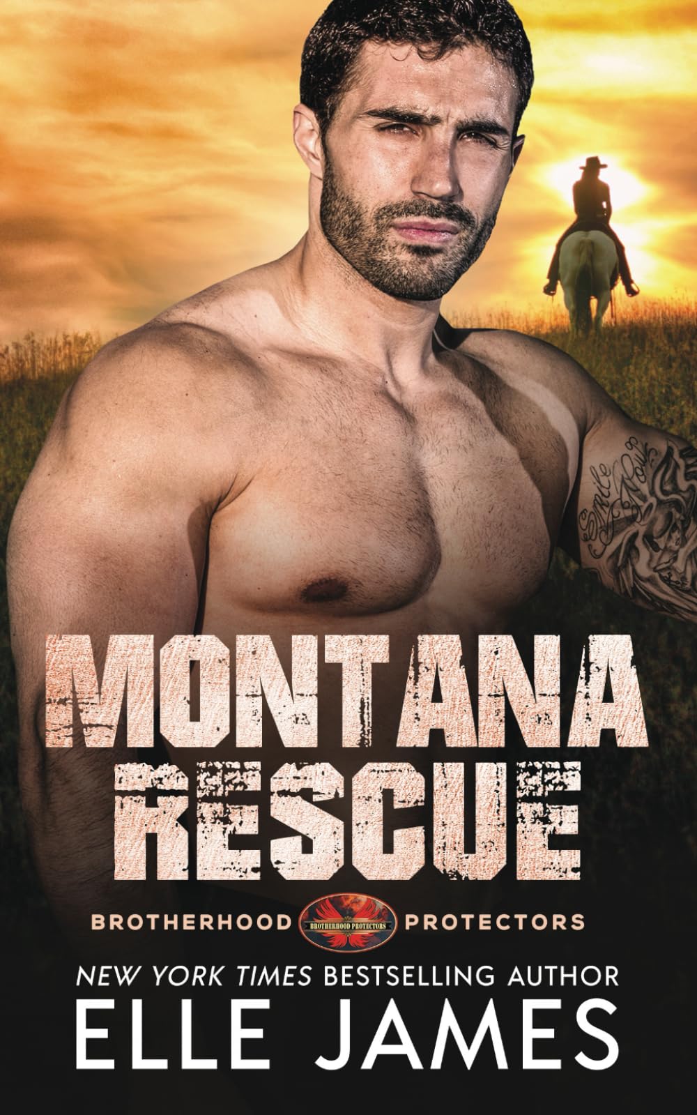 Montana Rescue: Volume 6 (Brotherhood Protectors)