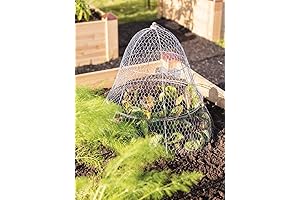Gardener's Supply Company Extra Large Garden Cloches