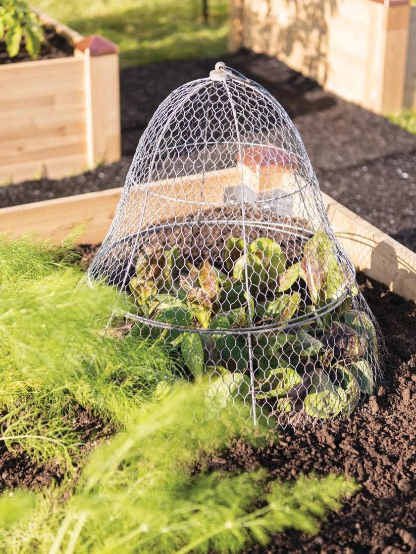 Chicken Wire Cloche & Extension