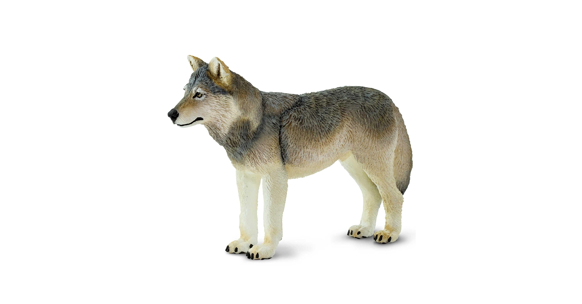 Wolfy さま 71o7ubkLyYL.jpg_BO30,255,255,
