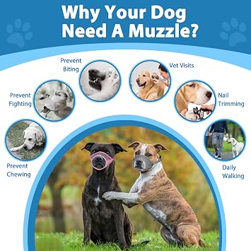 LUCKYPAW Mesh Dog Muzzle Suits for Small Medium Large Dogs Dog Muzzle Set