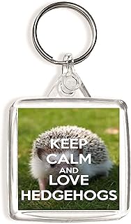 Keep Calm and Love Hedgehogs - Square Keyring