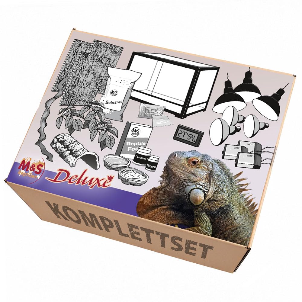 Komplettset Deluxe: Für Leguane (180x60x90cm) (Änderung vom Bild!) Terrarium mit ReptiZoo Glas-Terrarium (ca.182x61x91cm) RK0231-S/RK0231-B