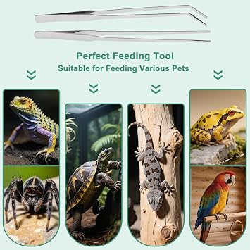 Syn-zer Reptile Feeding Tongs, 10.6 Straight & Curved