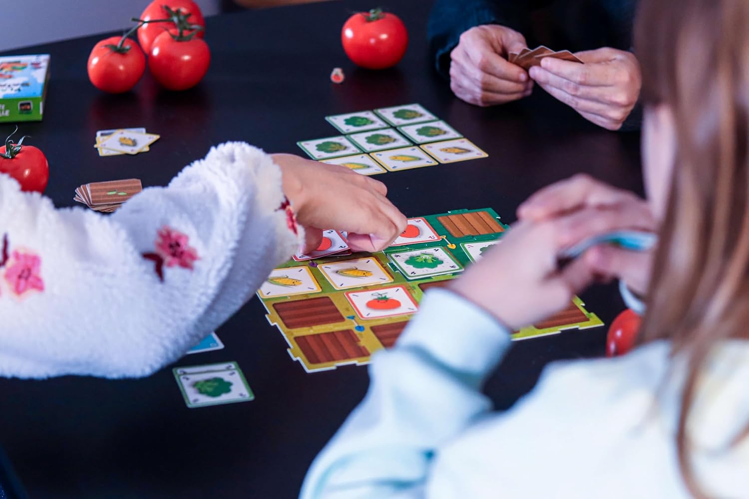 Plante Bataille — le jeu installe (vue 3)