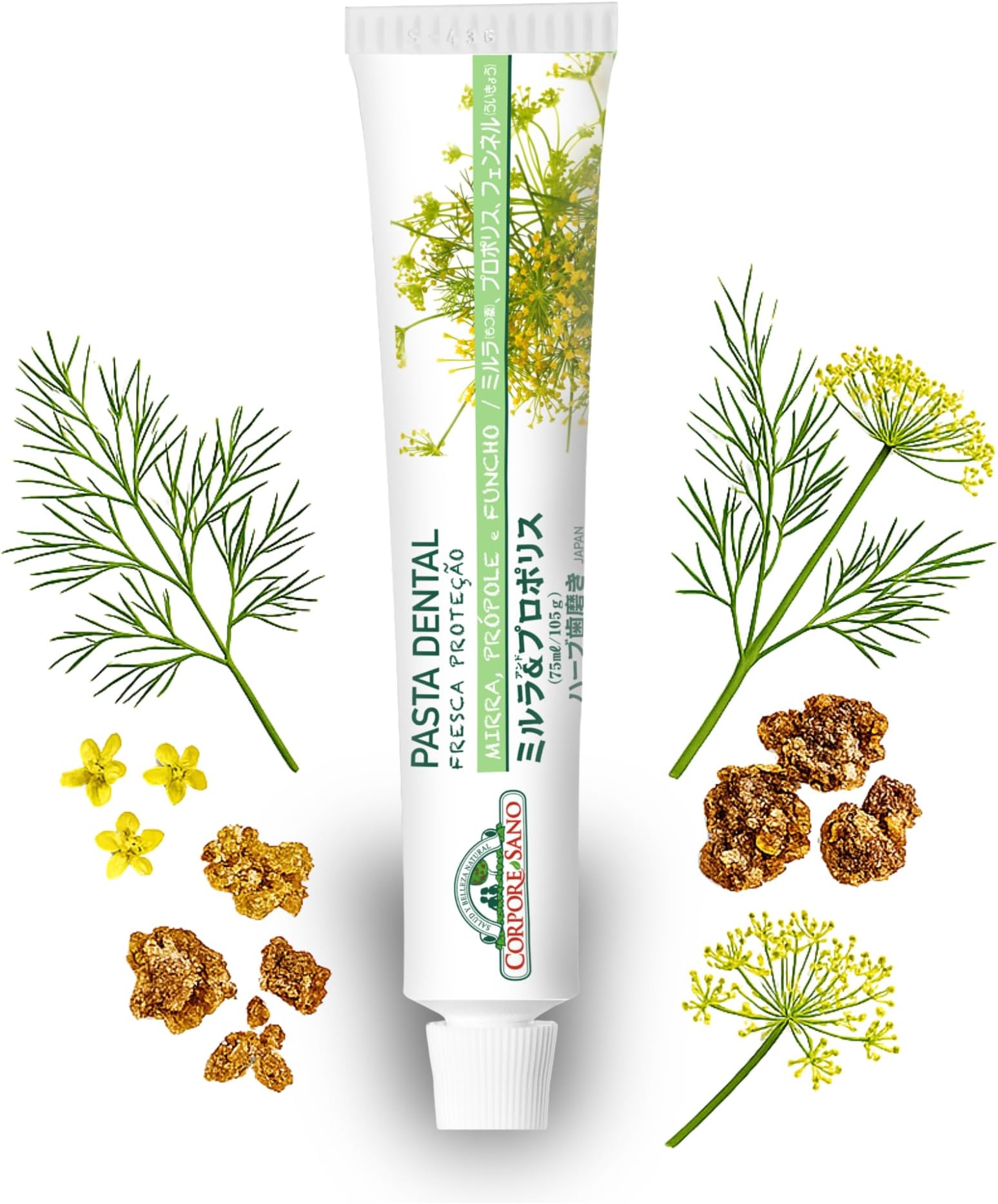 Corpore Sano - Fresh Protection Toothpaste, Natural, with Myrrh, Propolis and Fennel, Prevents Cavities, Inflammation of Gums and Tartar, Fluorine-Free, Mint and Parabens-Free, 75ml