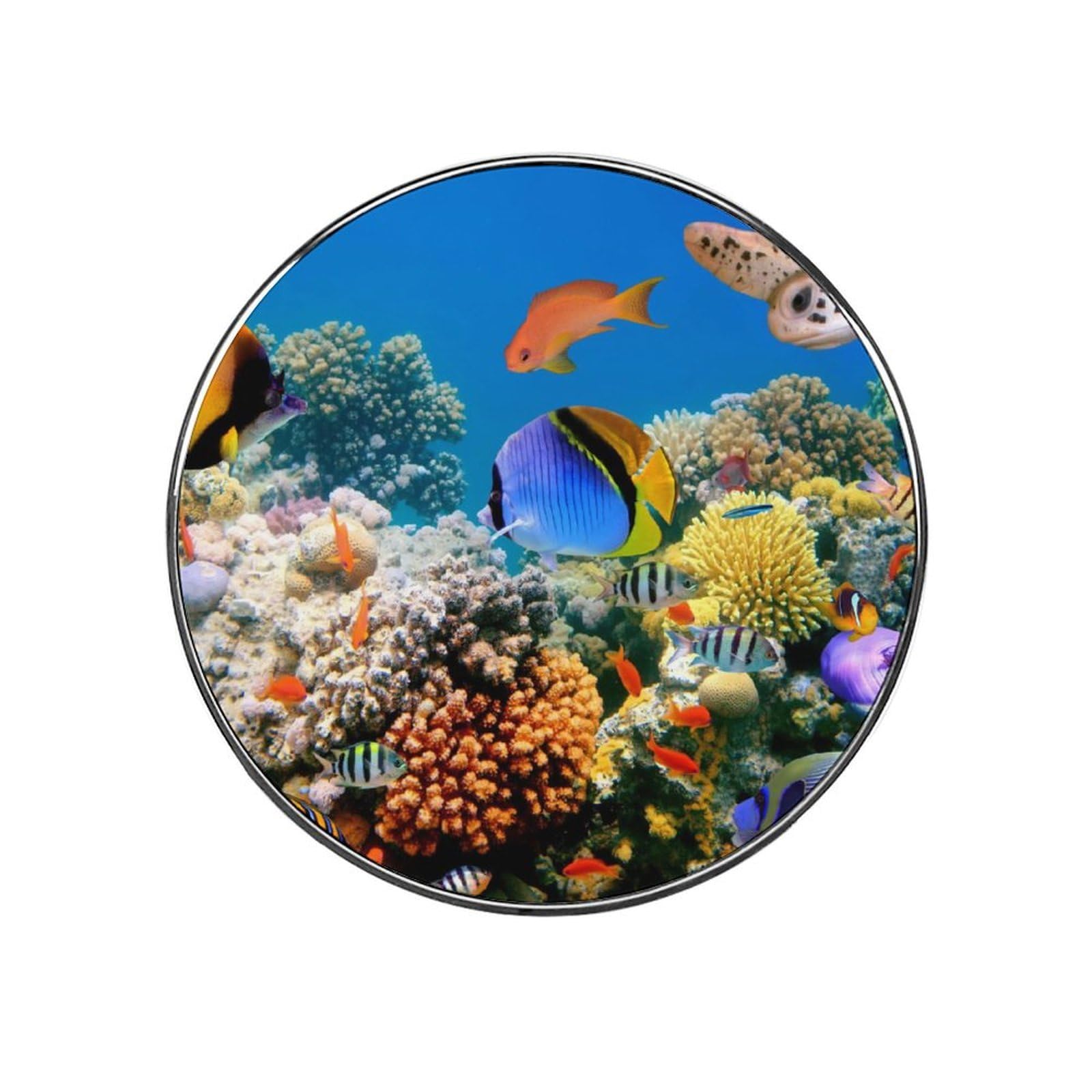 Underwater Fishes Refrigerator Magnet Decorative Locker Magnet For Kitchen And Office Home Décor