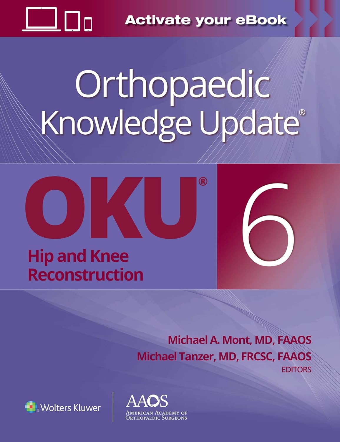 Buy Orthopaedic Knowledge Update® Hip and Knee Reconstruction 6 Print