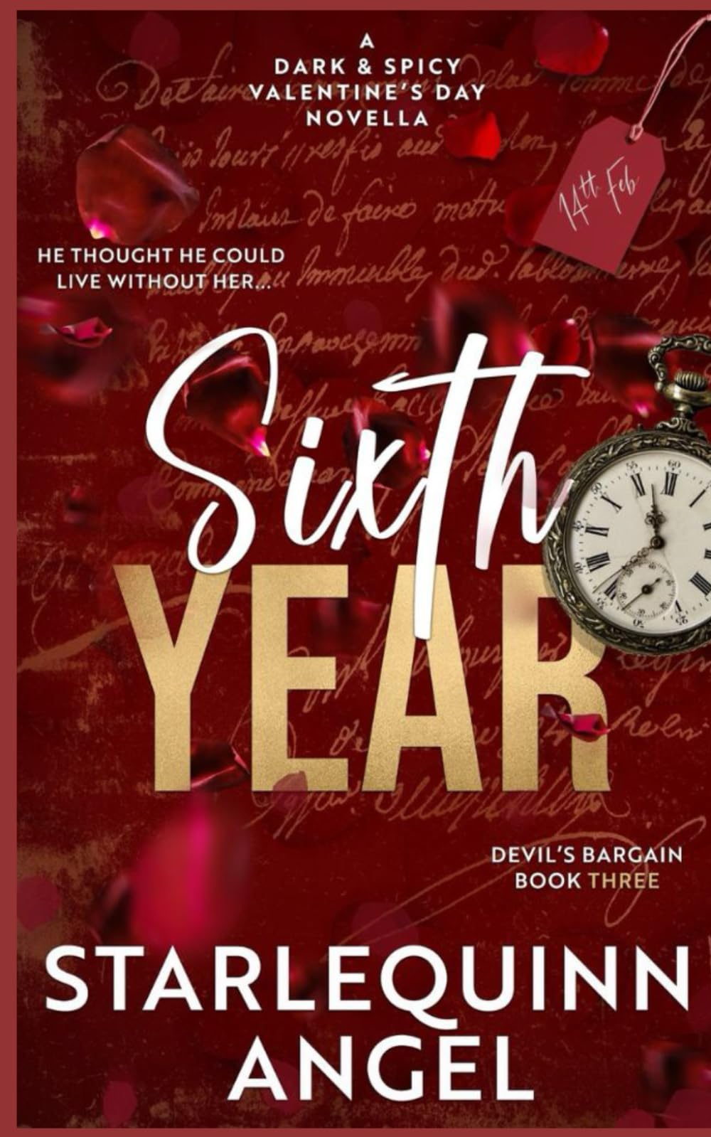 Sixth Year: A Dark & Spicy Novella (Devil's Bargain Series)