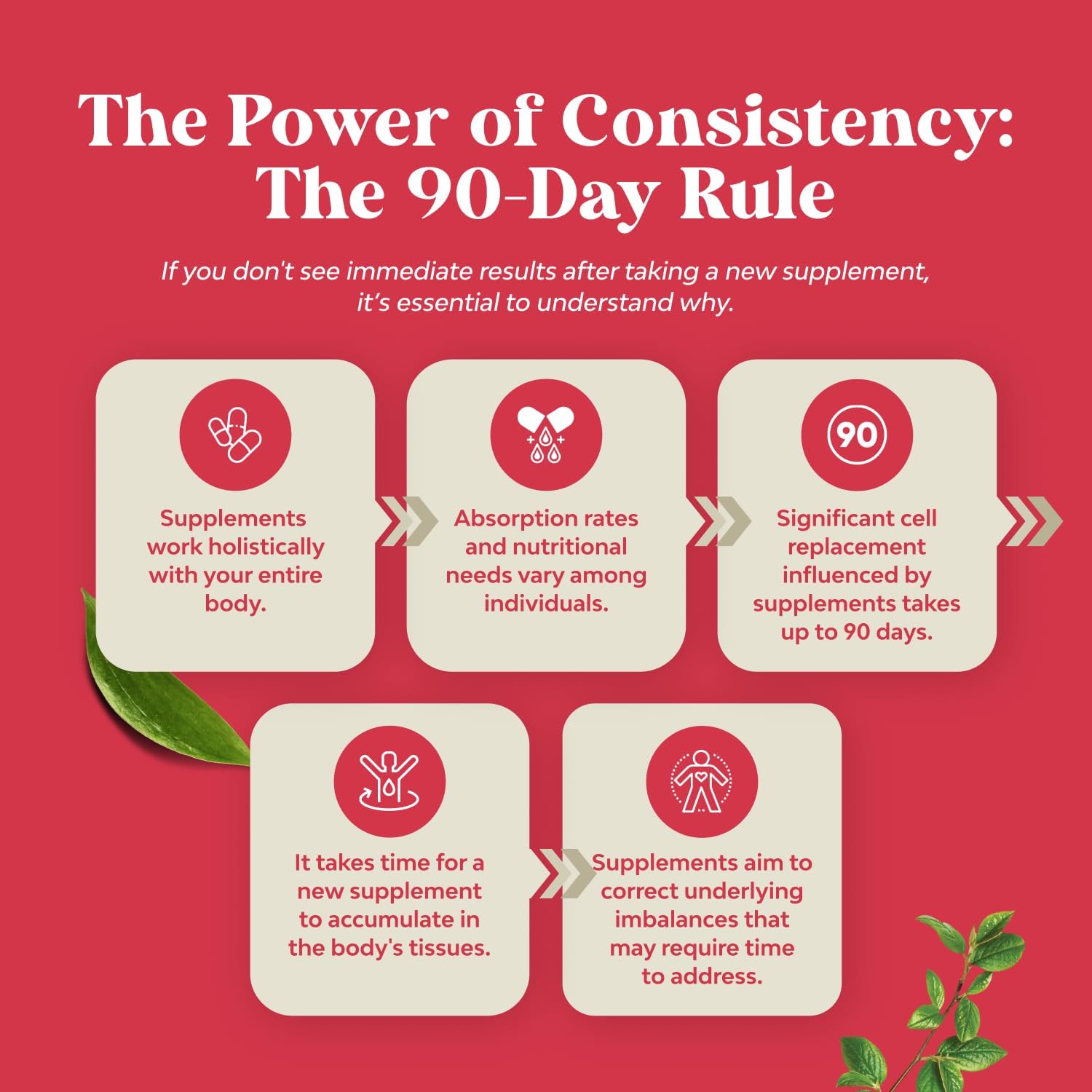 Advanced Antioxidant Superfood Pomegranate Supplement - Natural Pomegranate Extract Polyphenols Supplement for Heart Health and Joint Support - Reds Superfood Powder Capsules for Men and Women 180ct