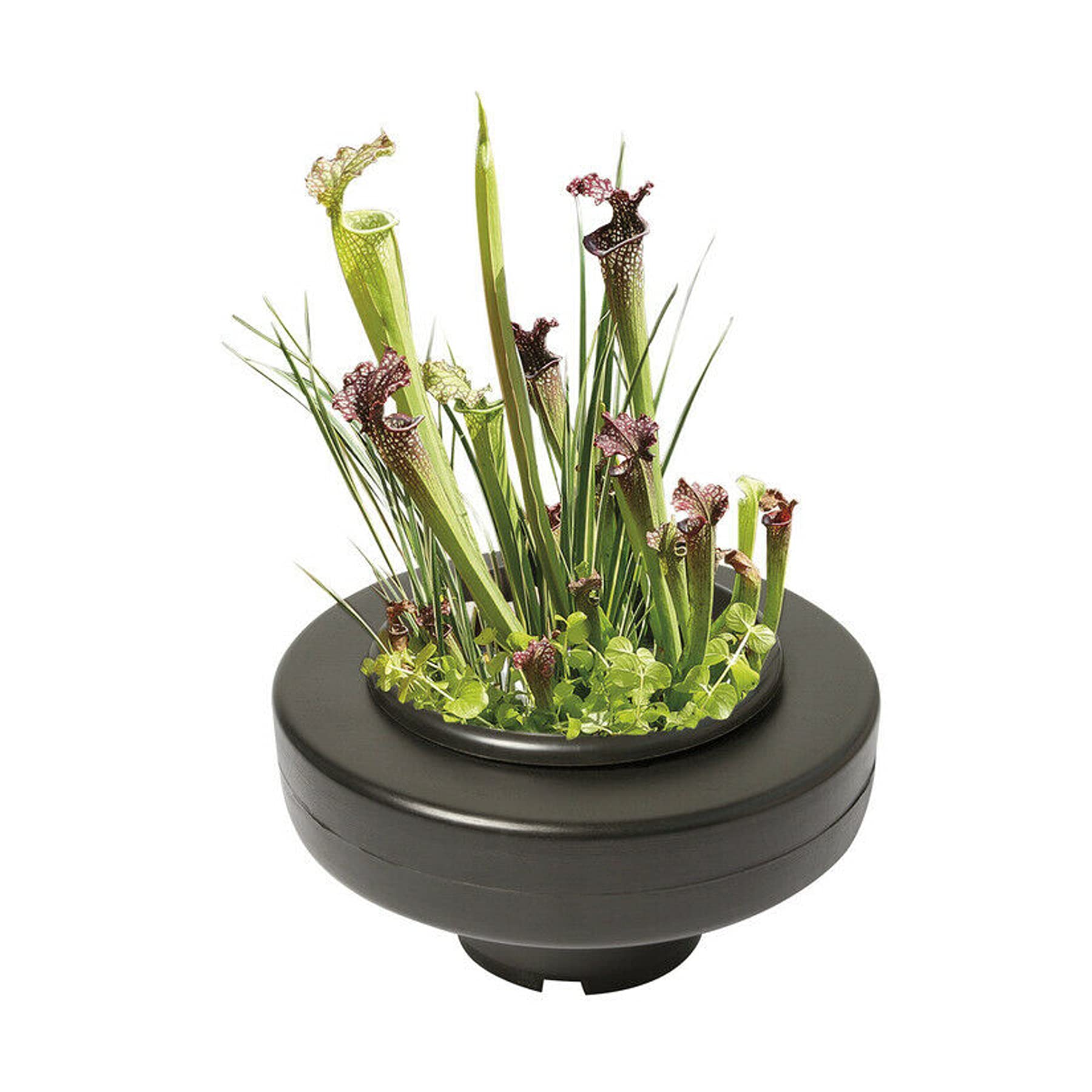 Panier flottant pour plante de bassin diamètre 30cm
