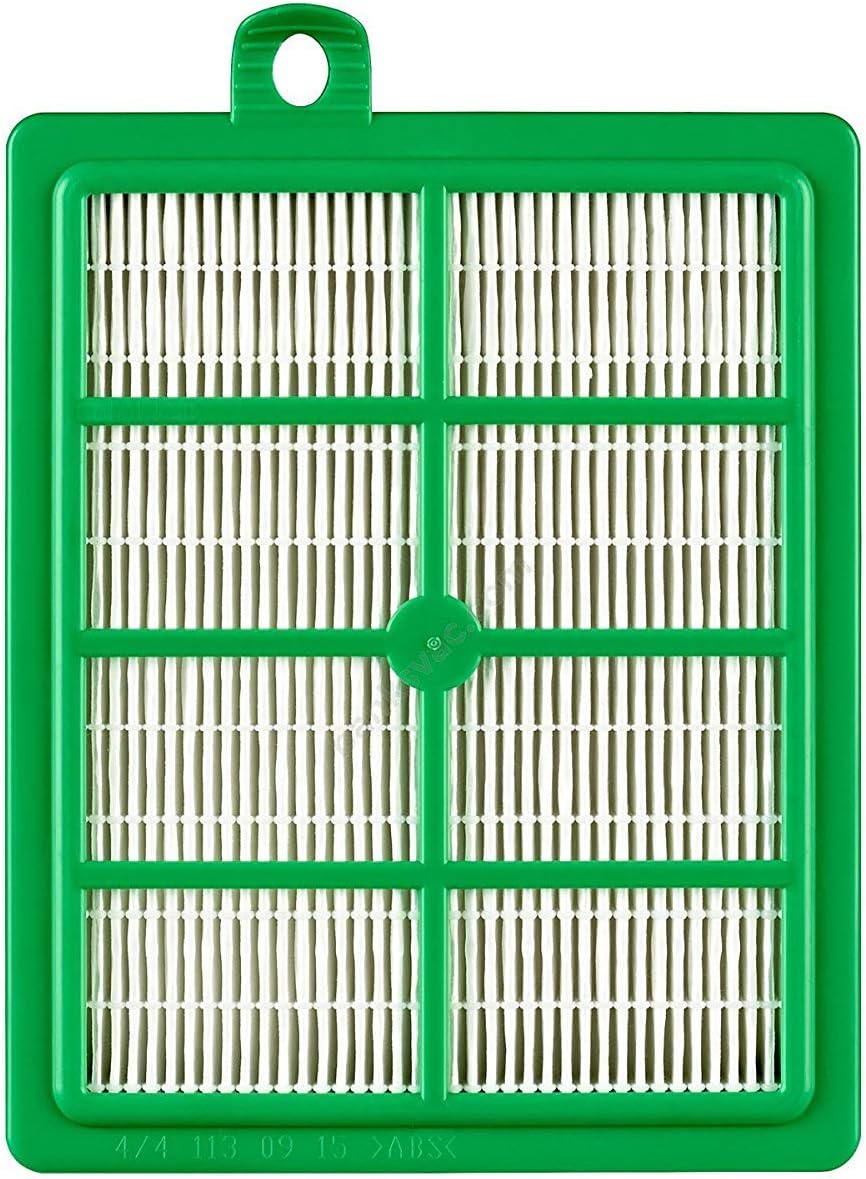 HEPA Filter for Simplicity, Electrolux Oxygen, Riccar 1500, and Bank Original Canister Vacuum Cleaners (Pack of 2 Filters)