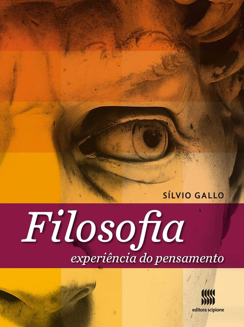 Filosofia: Experiência do pensamento (Volume Único)