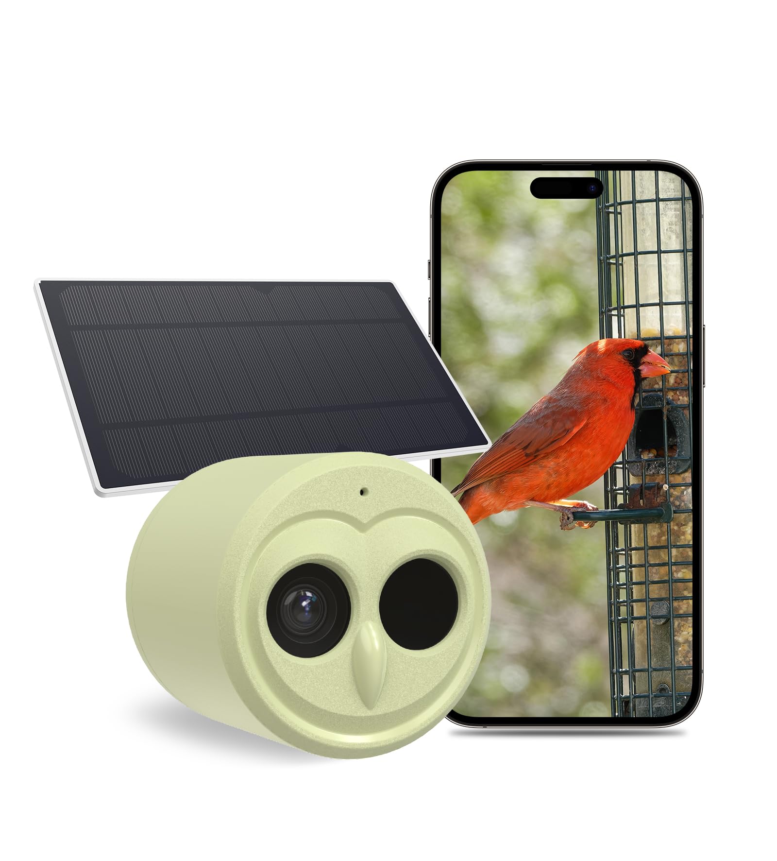 Bird Feeder with Camera, Hibird Smart AI Identify and Auto Capture 10000+ Bird Species IP66 Mini Wireless Watching Camera with Solar Panel, Ideal Gift for Bird Lover