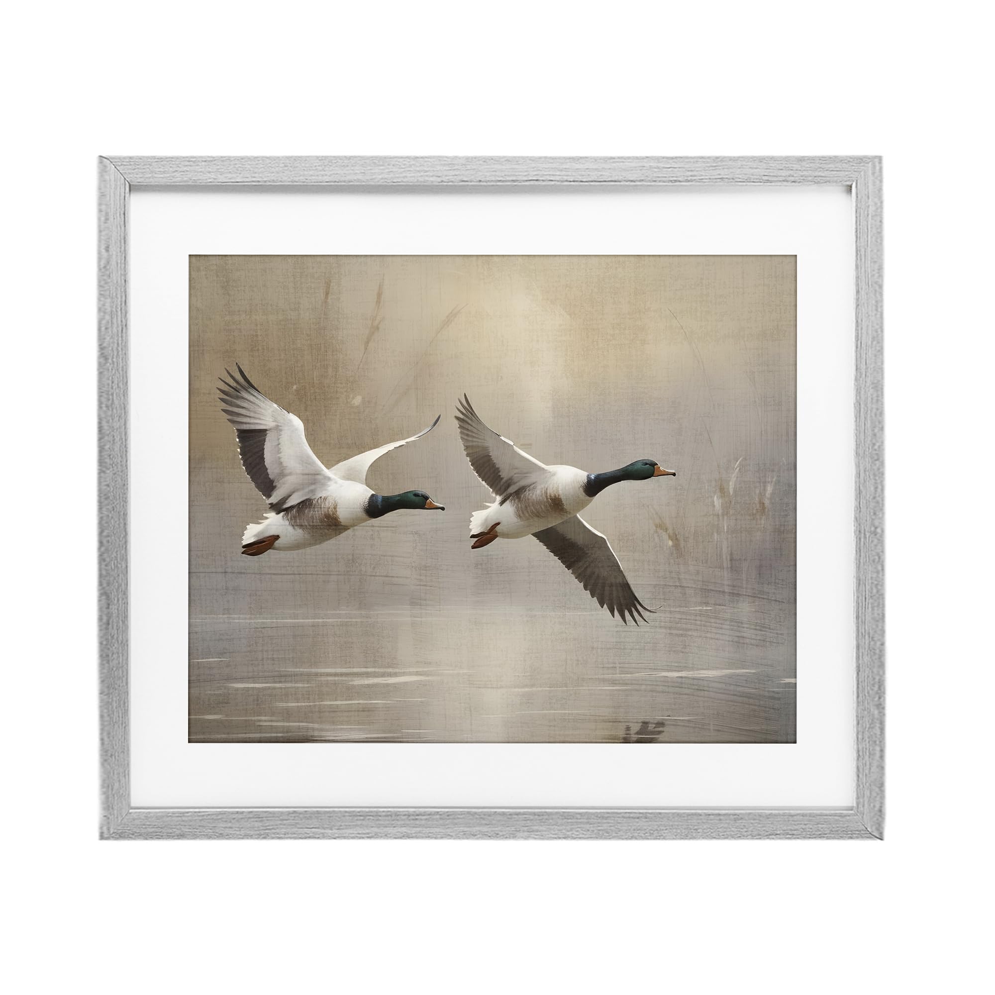 'Mallard Ducks over Pond'| Framed Print Under Glass