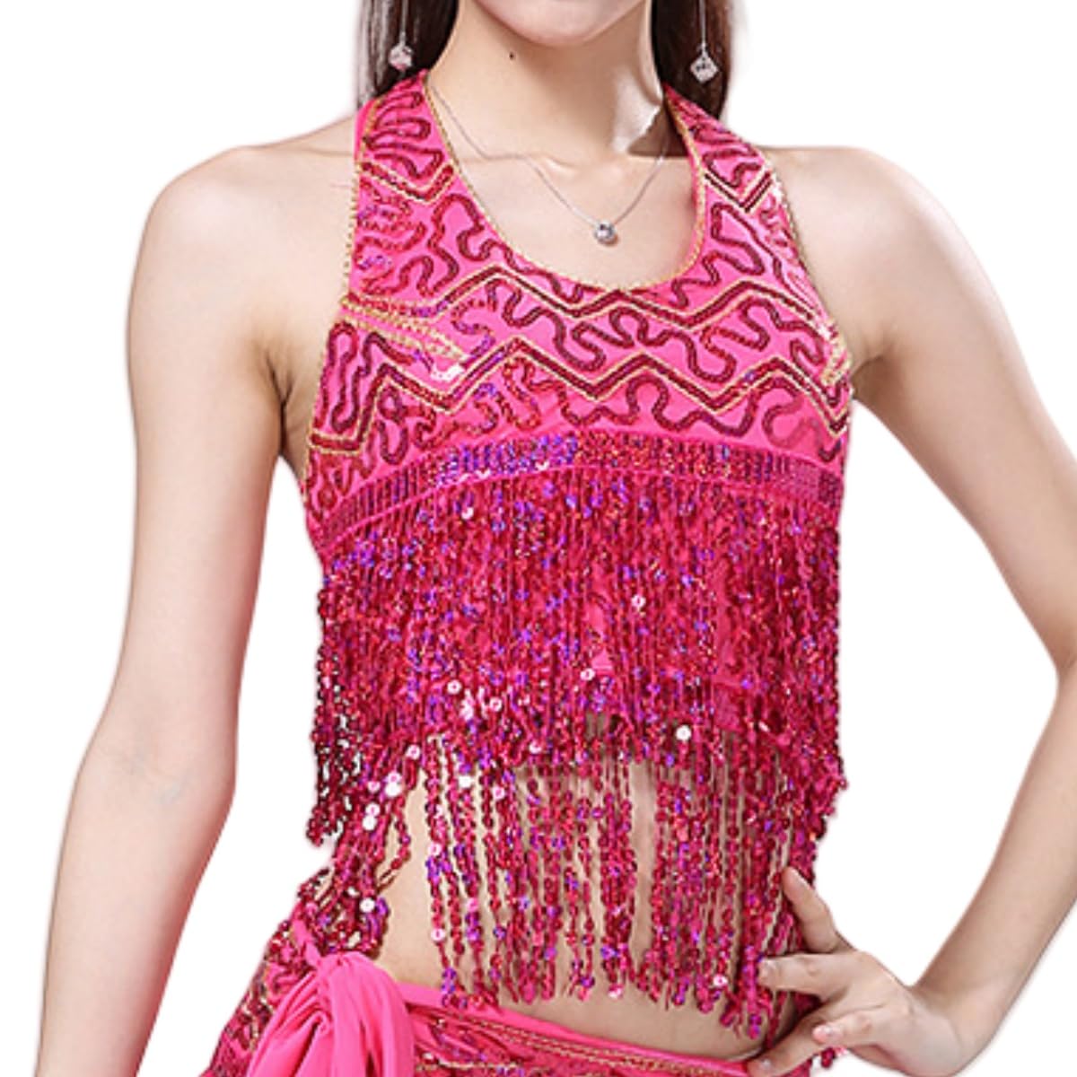 Hybursky Women's Rose Sequin Crop Top For Belly Dance, Glitter Sequins Halter Neck Fringe Tassel Bra Top, Sparkly Strappy Backless Tribal Bra For Party Carnival Clubwear Rave Boho Festival Clubbing Outfits