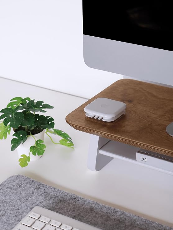 Fagus Wood Small Monitor Stand (Oak)