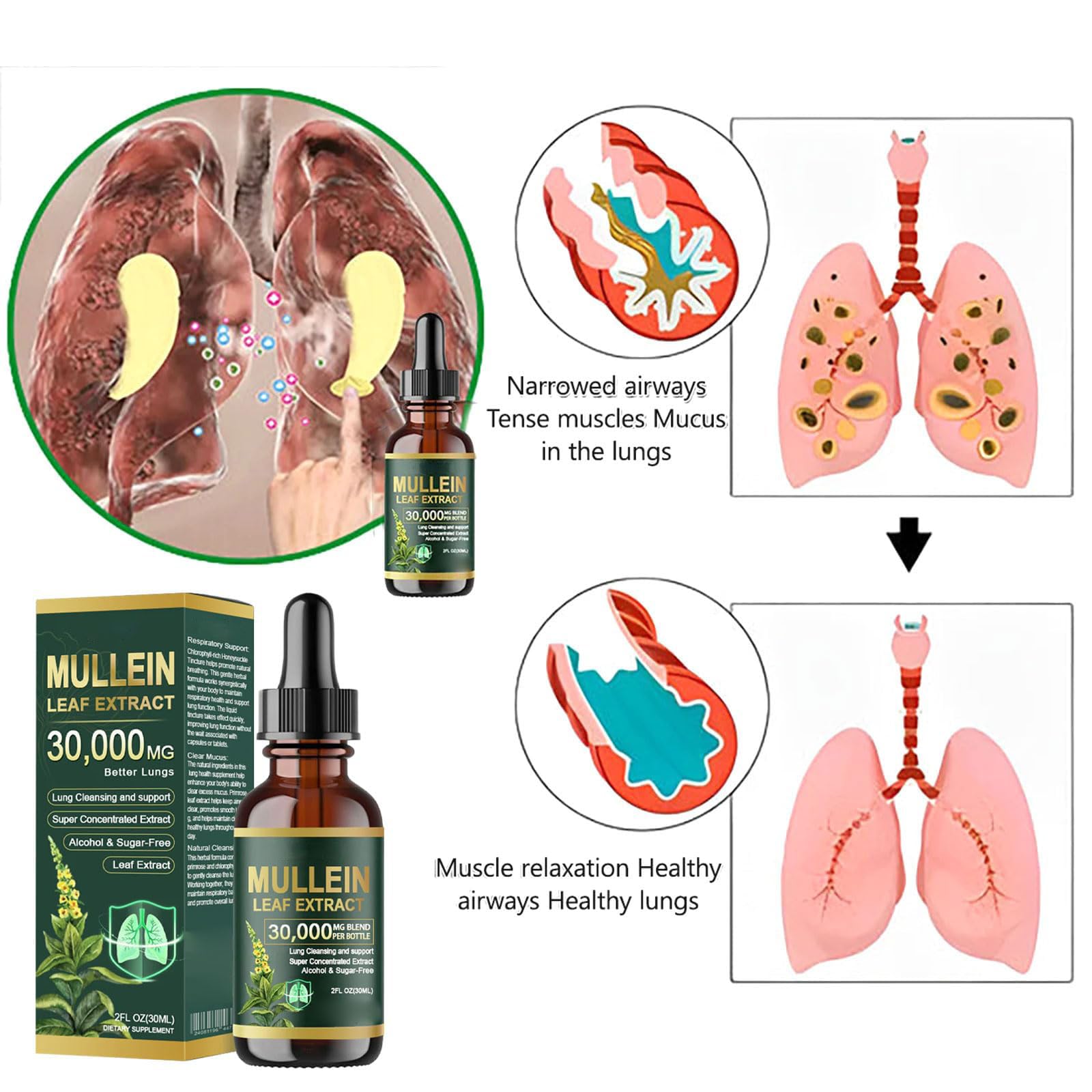 Gotas orgánicas de extracto de hoja de gordolobo para limpieza de pulmón, gotas de gordolobo para pulmones, extracto de hoja de gordolobo para pulmones, limpieza y apoyo respiratorio, fórmula natural