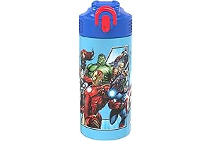 Zak! Avengers Stainless Steel Vacuum-Insulated Water Bottle