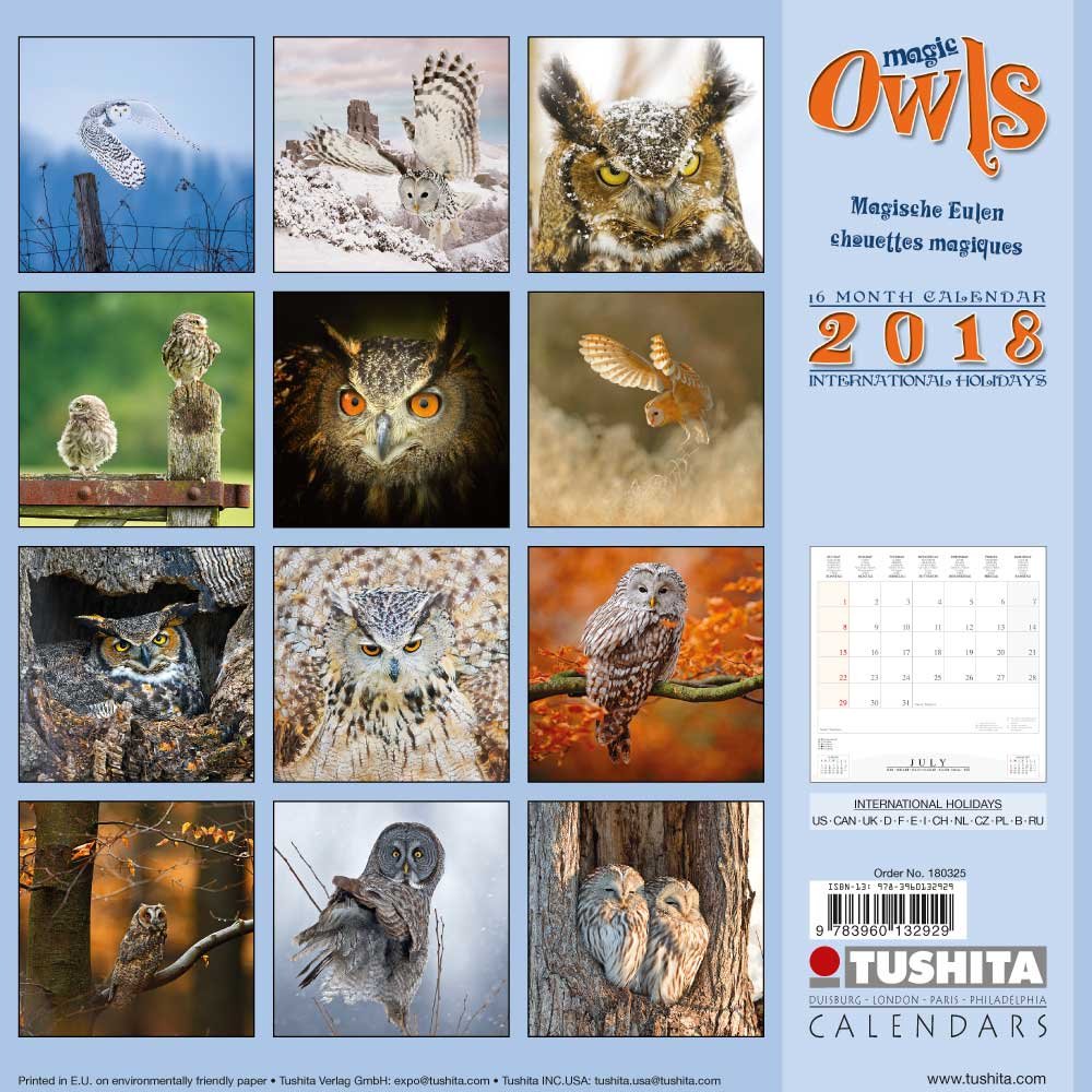 Magic Owls 2018 (Wonderful World)