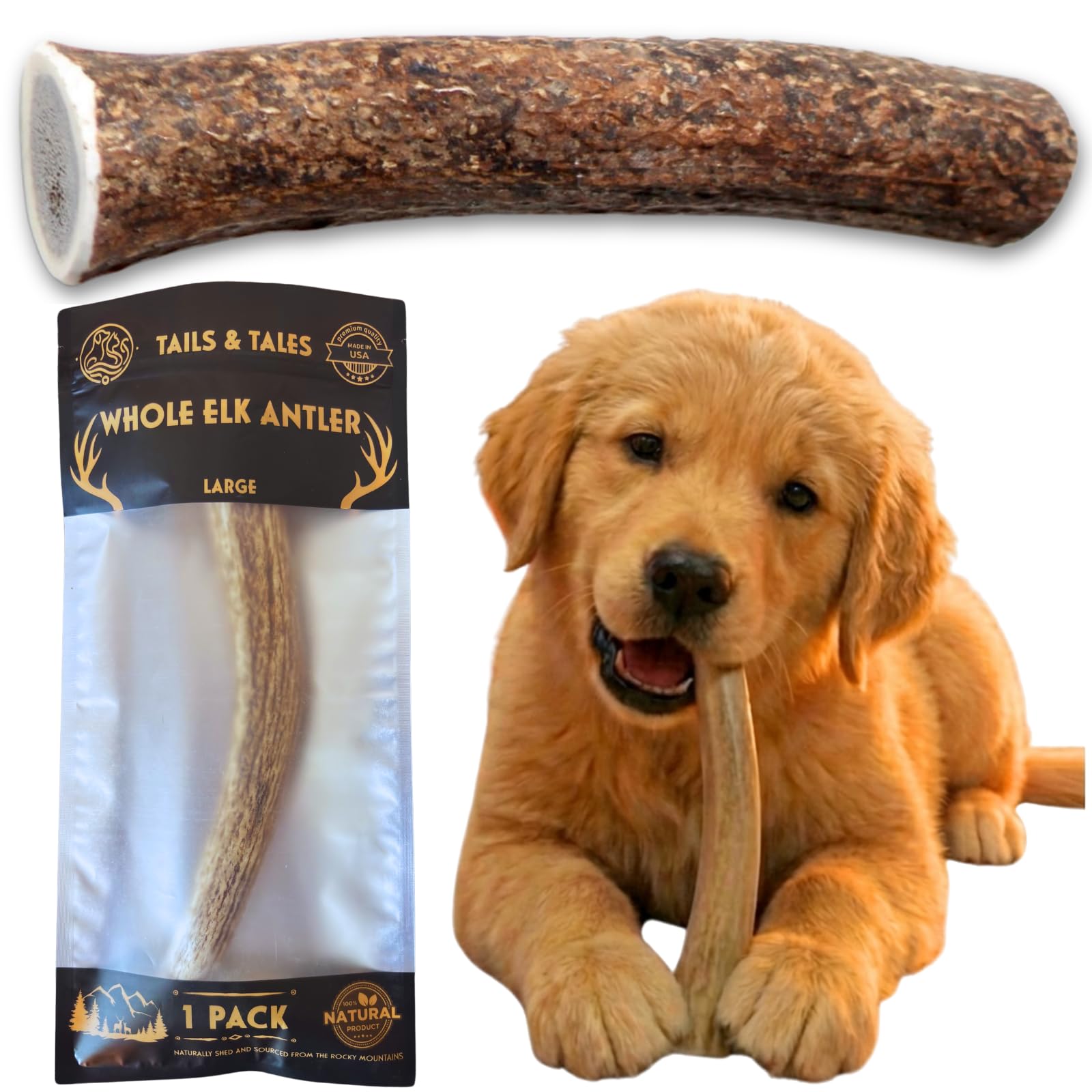 Tails & Tales Whole Elk Antler for Dogs Large 7-9" Long-Lasting & Durable Dog Bones for Aggressive Chewers or Teething Puppies No Additives, Premium