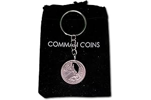 The Ridge Keychain: Distinctive Coin Keychain for Enthusiasts