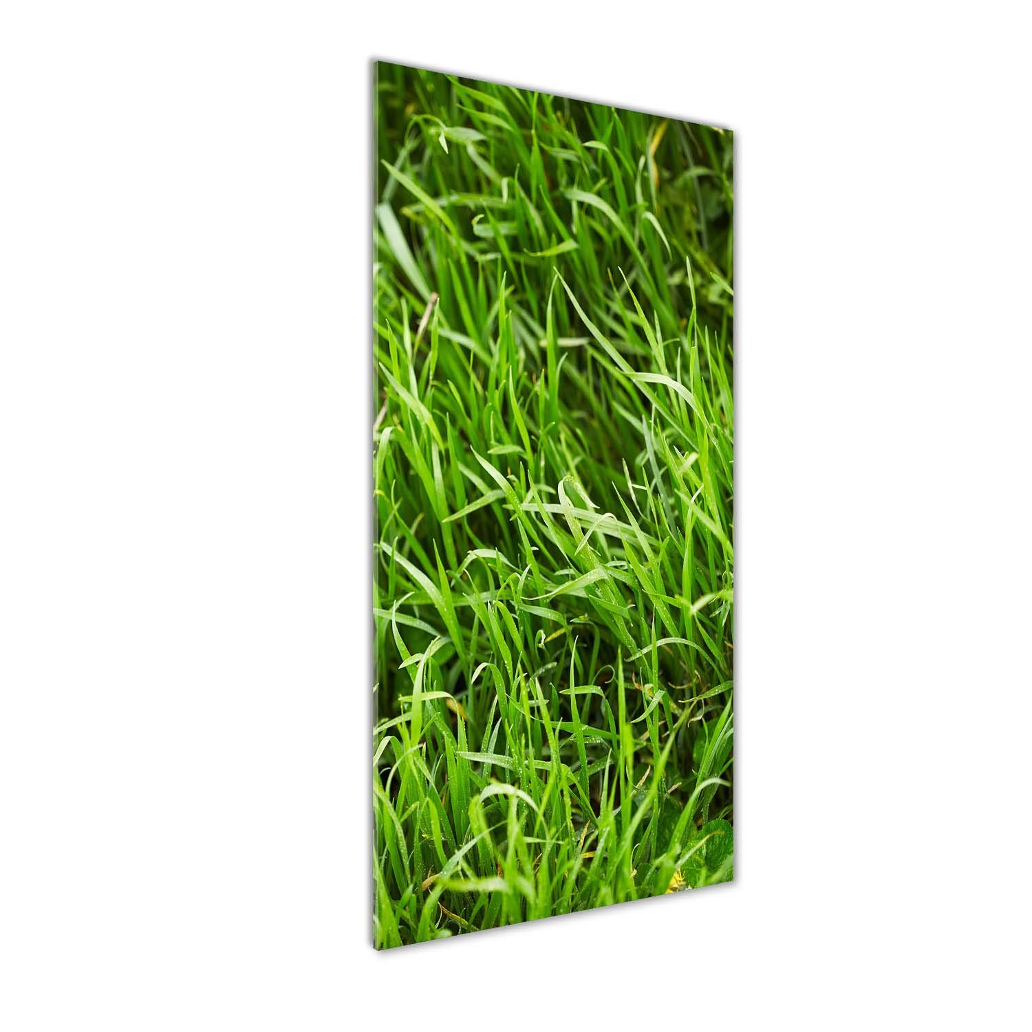 Impression sur verre acrylique Tulup 50x125 cm - Tableau mural herbe verte