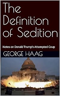 The Definition of Sedition: Notes on Donald Trump's Attempted Coup